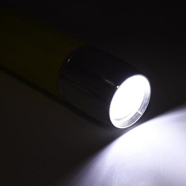 Portable LED Torchlight